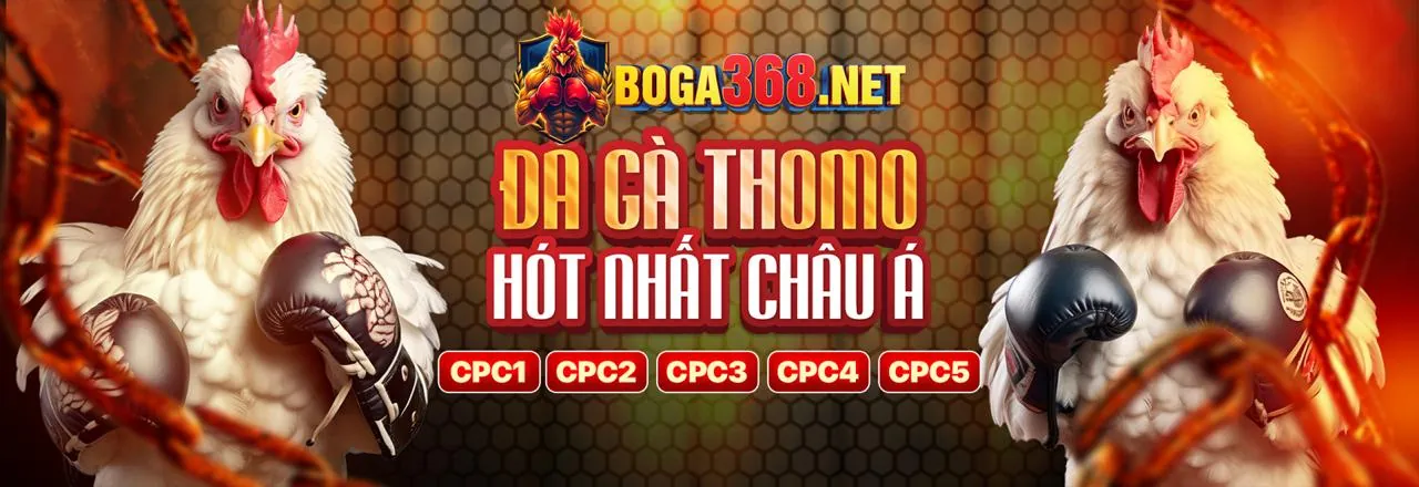 Hướng dẫn chơi đá gà tại xeng88